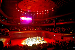 619517181_1485163702940050_8562790974177085945_n