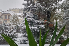 600238720_1456846835771737_5030187922303182941_n