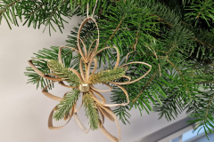 600334727_1456846959105058_3178459134537933493_n