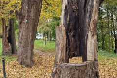 551095390_1409884037134684_3864922174173882469_n