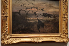 564601220_1408596853930069_1088129785259822742_n