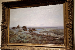 565102961_1408598453929909_895286086166063062_n