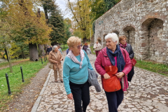 566323820_1409884030468018_5891073758899520569_n