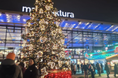 Zdjecie-WhatsApp-2025-12-08-o-13.16.40_7367cab1