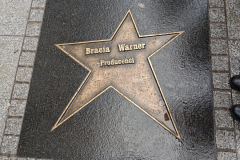 Zdjecie-WhatsApp-2025-12-08-o-13.16.57_035077eb