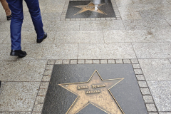 Zdjecie-WhatsApp-2025-12-08-o-13.16.58_199b4deb